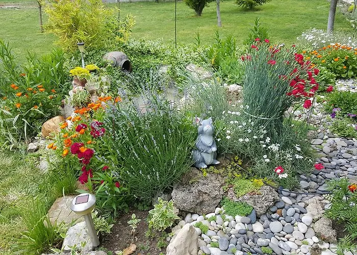 Stai Za Gosti Bazdarovi