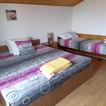 Stai Za Gosti Bazdarovi *