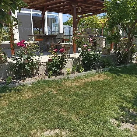 Stai Za Gosti Bazdarovi *