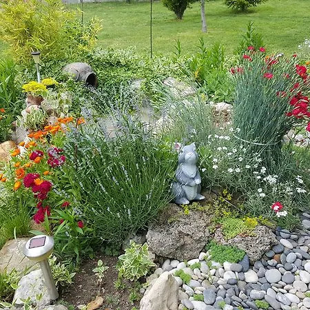 Stai Za Gosti Bazdarovi