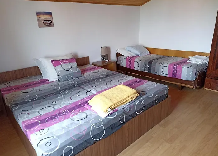 Stai Za Gosti Bazdarovi *