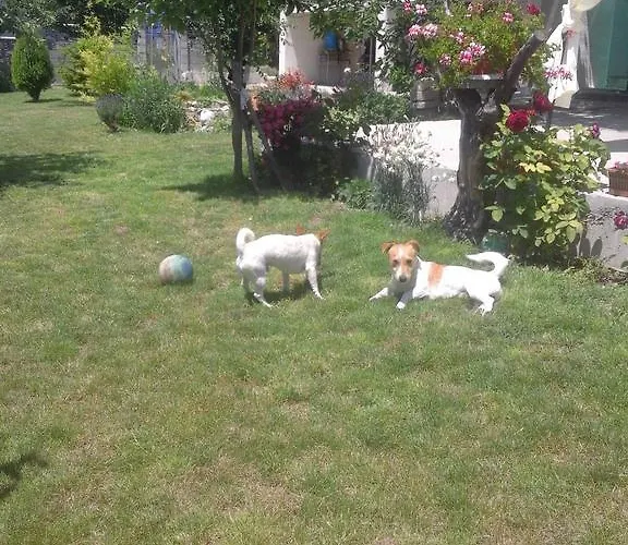 Stai Za Gosti Bazdarovi